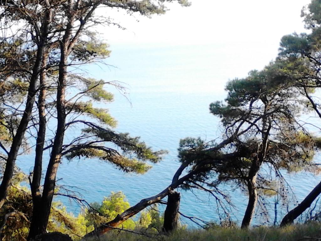 Villa Nefeli Loútsa Dış mekan fotoğraf